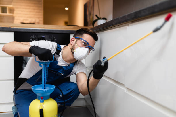 Best Exterminator Services  in Bessemer, AL