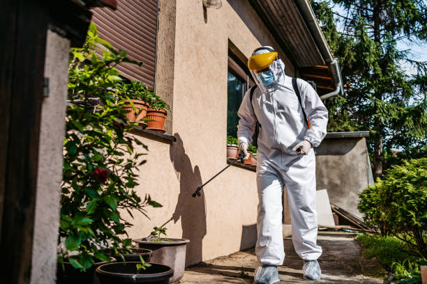 Best Mosquito Control Services  in Bessemer, AL