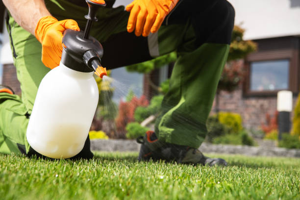 Best Affordable Pest Control Services  in Bessemer, AL