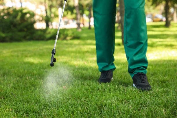 Best Flea Control Services  in Bessemer, AL