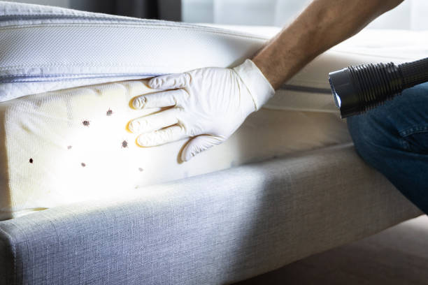 Best Exterminator Services  in Bessemer, AL