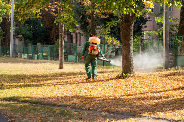 Best Pest Prevention Services  in Bessemer, AL