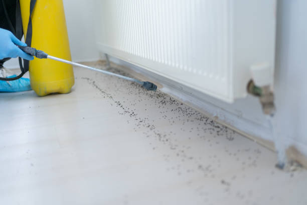 Pest Control Cost in Bessemer, AL