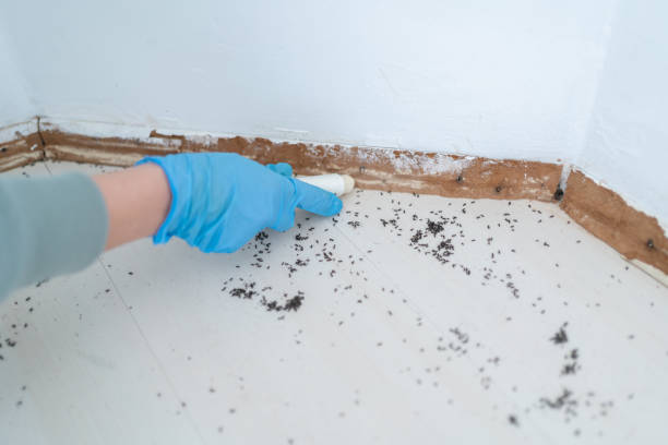 Best Residential Pest Control  in Bessemer, AL