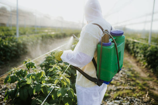 Bessemer, AL Pest Control Company